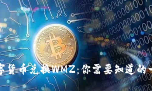 数字货币兑换WMZ：你需要知道的一切