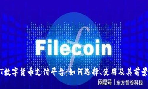 USDT数字货币支付平台：如何选择、使用及其前景展望