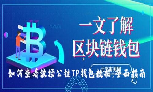 如何查看波场公链TP钱包数据：全面指南