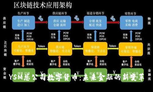 YSM总公司数字货币：未来金融的新变革