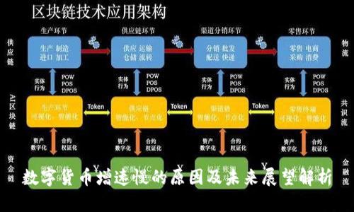 数字货币增速慢的原因及未来展望解析