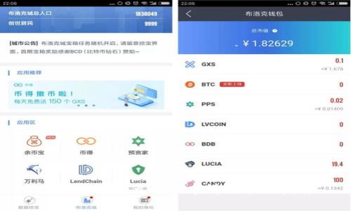 数字货币美元项目申请的全面指南