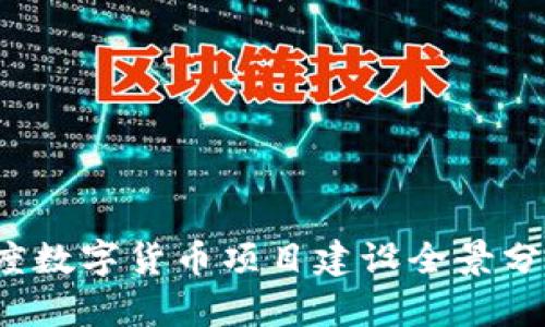 2020年度数字货币项目建设全景分析与展望