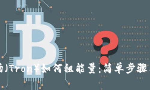 TP钱包波场（Tron）如何租能量：简单步骤与注意事项