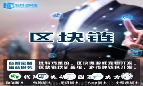 TP钱包丢失的原因及解决方案