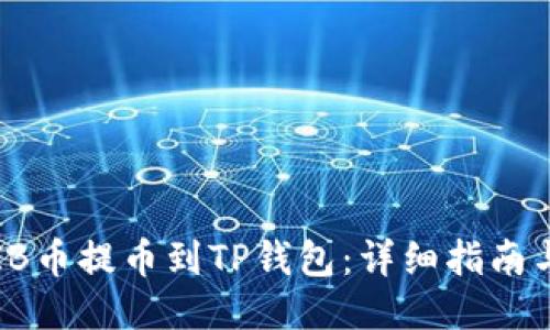 如何将SHIB币提币到TP钱包：详细指南与操作步骤