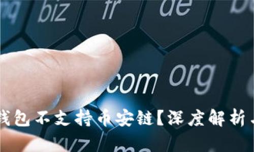 为什么TP钱包不支持币安链？深度解析与解决方案
