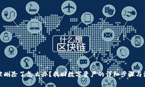TP钱包被删除了怎么办？找回数字资产的详细步骤与注意事项