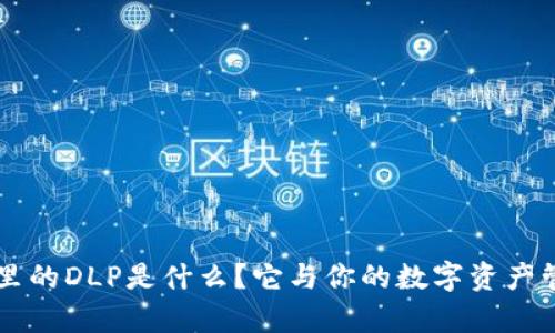 ### tp钱包里的DLP是什么？它与你的数字资产管理的关系解析