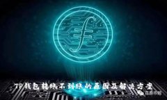 TP钱包转账不到账的原因及