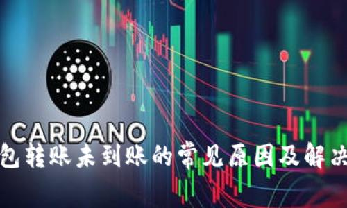 TP钱包转账未到账的常见原因及解决方案