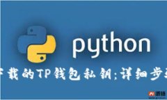 如何导入新下载的TP钱包私钥：详细步骤与注意事