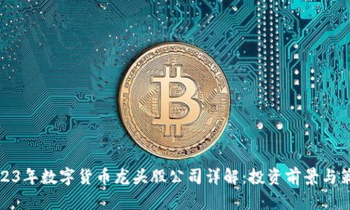 2023年数字货币龙头股公司详解：投资前景与策略