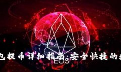 中本聪TP钱包提币详细指南：安全快捷的数字货币
