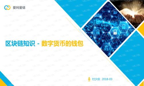   
如何从TP钱包观察区提取币：详细指南