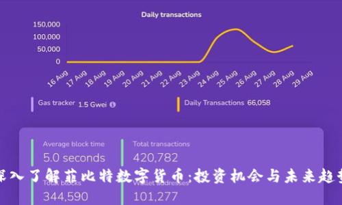 深入了解菲比特数字货币：投资机会与未来趋势