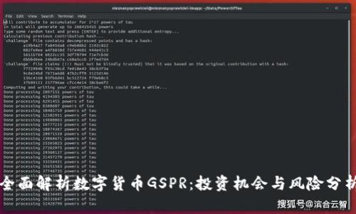 全面解析数字货币GSPR：投资机会与风险分析