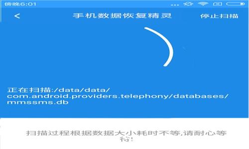  如何在TP钱包中导入官方地址进行查看