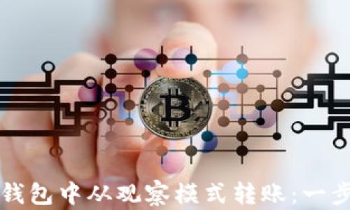 
如何在TP钱包中从观察模式转账：一步一步教程