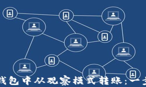 
如何在TP钱包中从观察模式转账：一步一步教程