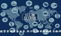 数字货币信息交易：新兴市场中的机遇与挑战