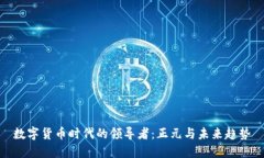 数字货币时代的领导者：正元与未来趋势
