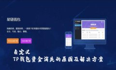 自定义TP钱包资金消失的原